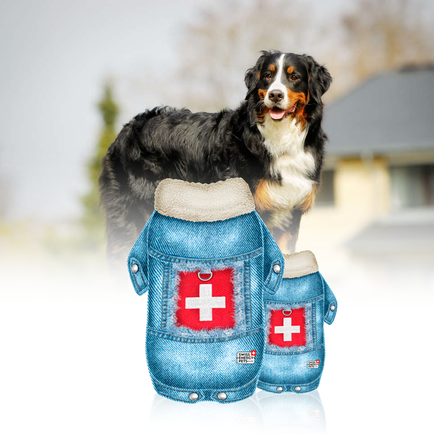 Accessories For Dogs