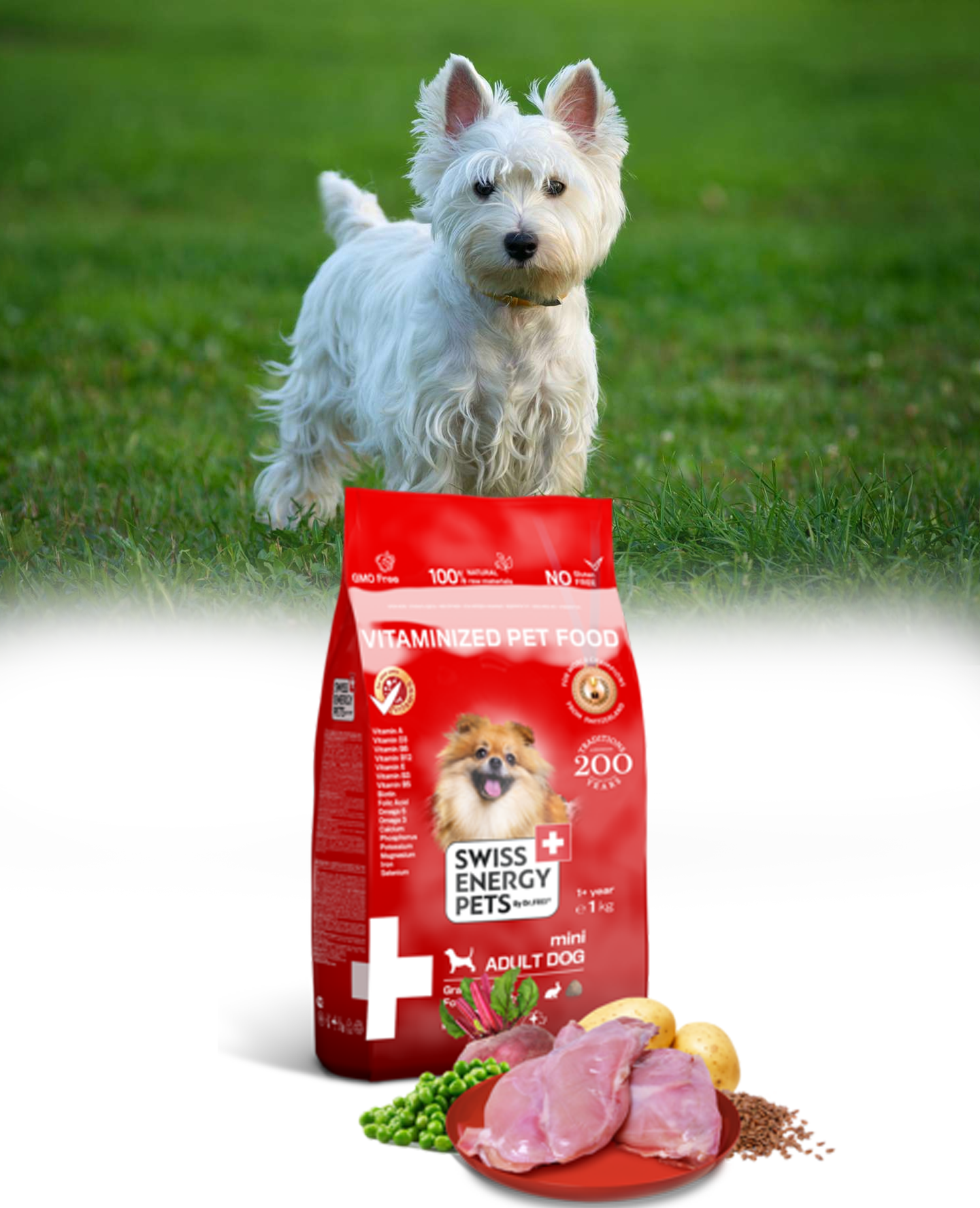 MINI ADULT DOG FOODS
